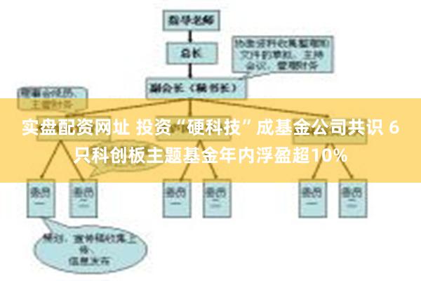 实盘配资网址 投资“硬科技”成基金公司共识 6只科创板主题基金年内浮盈超10%