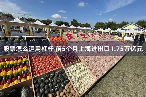 股票怎么运用杠杆 前5个月上海进出口1.75万亿元