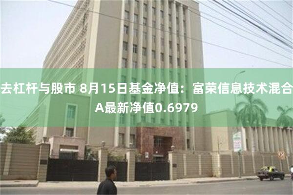 去杠杆与股市 8月15日基金净值：富荣信息技术混合A最新净值0.6979