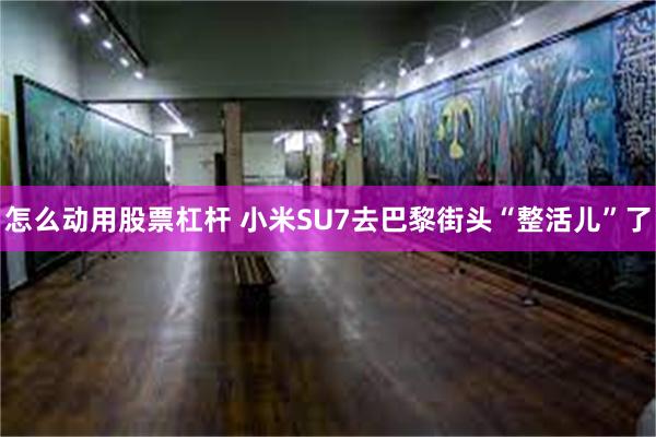 怎么动用股票杠杆 小米SU7去巴黎街头“整活儿”了