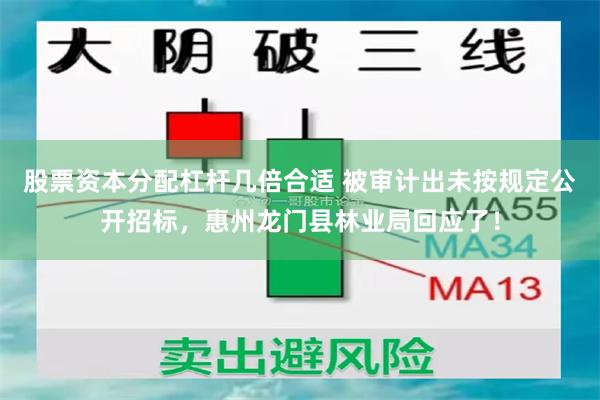 股票资本分配杠杆几倍合适 被审计出未按规定公开招标，惠州龙门县林业局回应了！