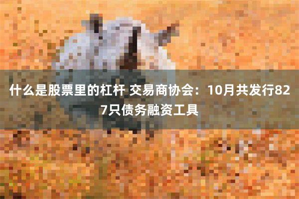 什么是股票里的杠杆 交易商协会：10月共发行827只债务融资工具