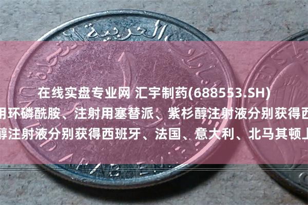 在线实盘专业网 汇宇制药(688553.SH)：注射用伏立康唑、注射用环磷酰胺、注射用塞替派、紫杉醇注射液分别获得西班牙、法国、意大利、北马其顿上市许可