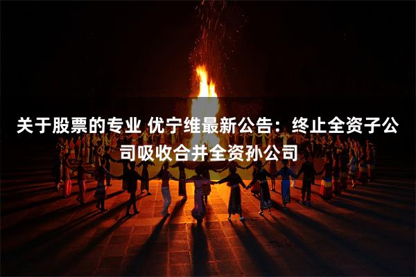 关于股票的专业 优宁维最新公告：终止全资子公司吸收合并全资孙公司