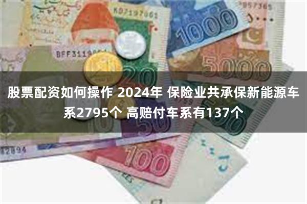 股票配资如何操作 2024年 保险业共承保新能源车系2795个 高赔付车系有137个