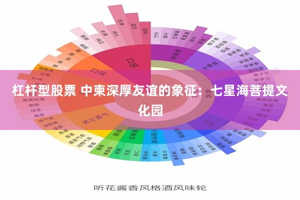 杠杆型股票 中柬深厚友谊的象征：七星海菩提文化园