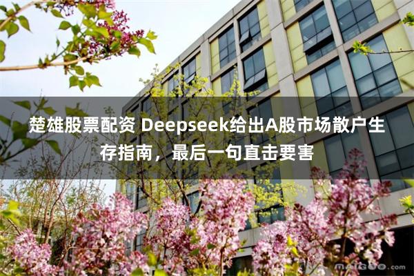 楚雄股票配资 Deepseek给出A股市场散户生存指南，最后一句直击要害